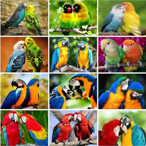EverShine Full square Diamond Painting Animals Diamodn Embroidery parrot Cross Sttich handwork Sale Rhinestones Art Wall decor