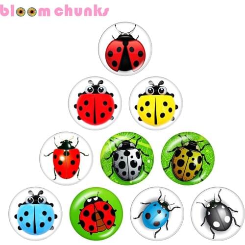 Ladybug beetle 12mm/18mm/20mm/25mm Round glass cabochon flat back Making snap button jewelry S2690