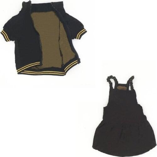 Chihuahua Summer Dress Poodle Jacket Vip Dorpshipping PC1349