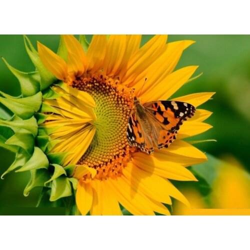 3D DIY Diamond Painting Chinese Cross Stitch SUNFLOWER Mosaic Kit Diamond Embroidery Hobbies And Crafts Needlework
