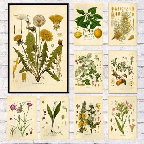 Vintage Wild Plant Poster Botanical Flower Study Living Room Hanging Painting Peony Picture Room Canvas Paintng Home Decoration