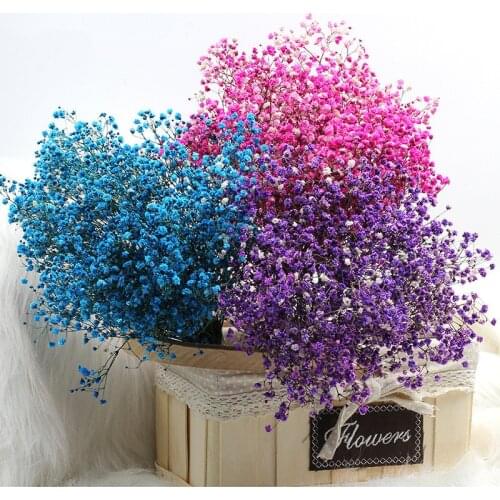 100g Natural Fresh Dried Preserved Flowers Gypsophila Paniculata Baby Breath Flower Bouquets Gift For Wedding Party Home Decor