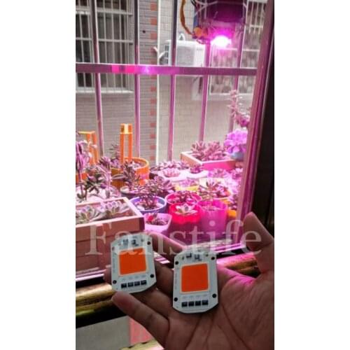 AC110v/220V 20W 30W 50W 380-840NM Full Spectrum Driverless COB High Power Led