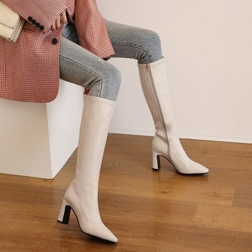 Pointed Thick Heel Stretch High Boots Women Beige Boots High Heel Rider Boots Side Zipper Winter Plus Velvet High Heel Knee Boot