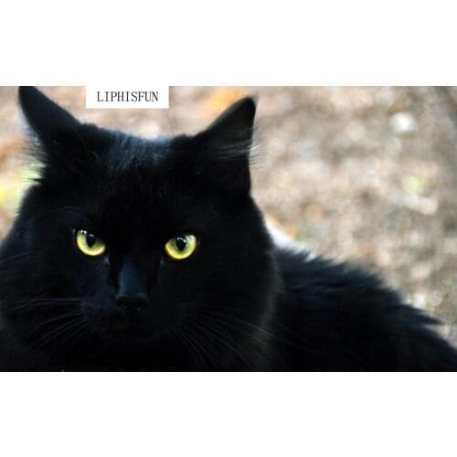 5D Full Drill Diamond Painting Animal Black Cat Cross Stitch Resin Square Diamond Sets Handmade Diamond Embroidery