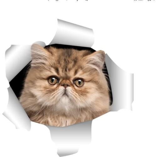 Three Ratels 3D Staffordshire Terrier Cat Stickers Super Staffie decal on Wall Fridge Toilet car bike