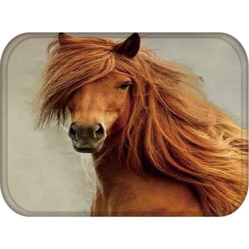 40x60cm Cute Diy Print Floor Mat Bathroom Ground Mat Slip Door Bath Pad Rug Living Room Carpet Animal Horse