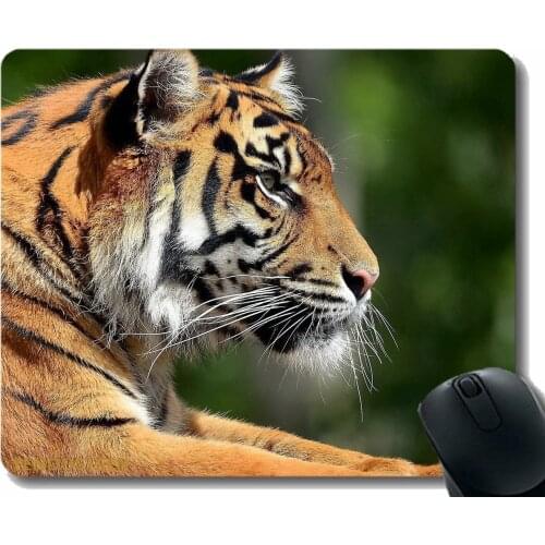 Gaming Mouse Pad Custom,Tiger Lying Face Predator Eyes Profile Big Cat 65080 Non-Slip Rubber Base Mousepad