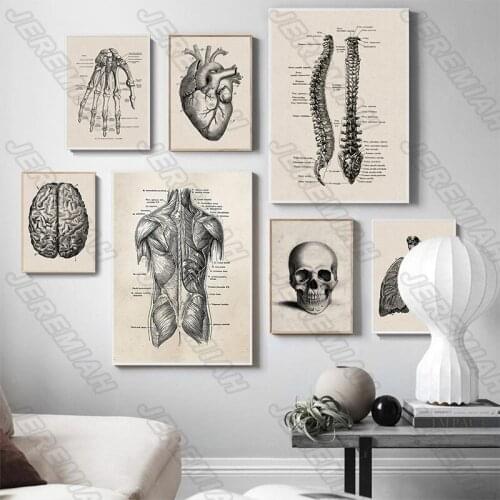 Character Organ Analysis Poster Nordic Style Wall Art Canvas Print Painting Modern Home Decoration