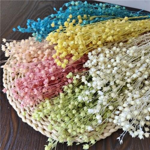 50g/40-45cm,Natural Dried bleach beads flower Bouquet,Fugui beads INS Jequirity Decrative plant Wedding Party home Decoration