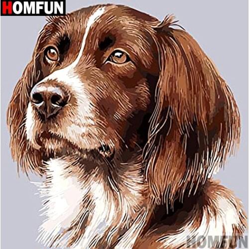 HOMFUN Full Square/Round Drill 5D DIY Diamond Painting "Animal dog" 3D Embroidery Cross Stitch 5D Home Decor A14119