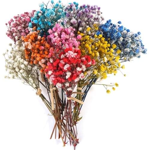 1Bouquet Mini Daisy Star Bouquet Dried Flowers Colorful Natural Plant Preserve Floral For Wedding Home Decor Photo Props