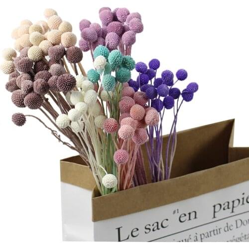 10Pcs 30CM Dried Flower Decorative Preserved Flowers Ball,Natural Fresh Eternell Craspedia Bouquets,Forever Gold Orbs Flower