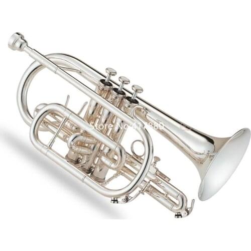 MARGEWATE Cornets China