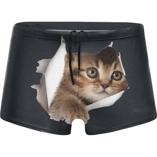 Men Cat lovers beach swimming trunks Scotland Fold (2) swimsuits husband for the sea Pool