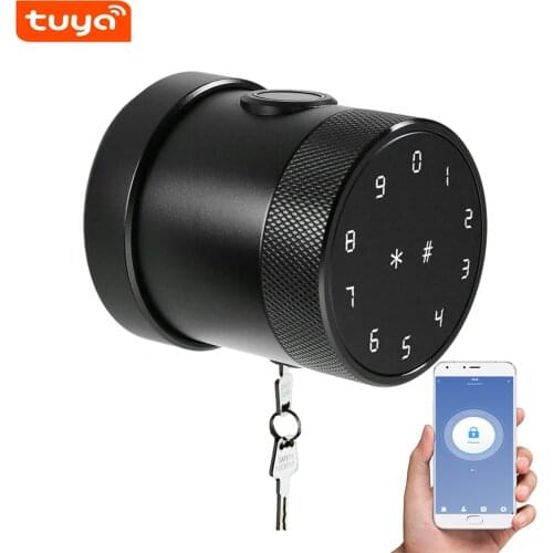 Smart Anti-theft Security Door Lock Electronic Fingerprint BT Lock APP Tuya Remote Control Password Code Number Card Lock