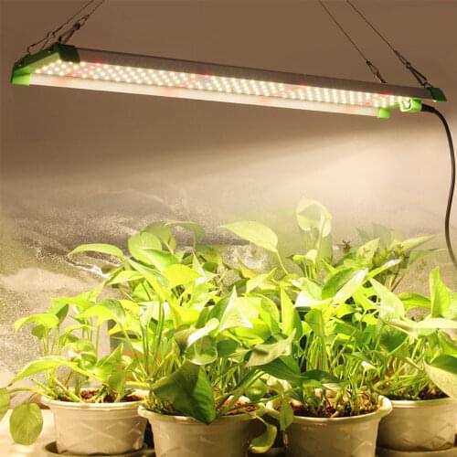 GRAXGROW Plant Lamps