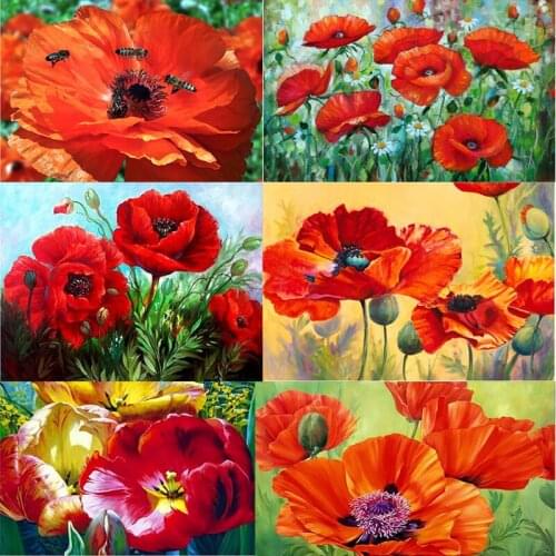 Full square DIY diamond embroidery red poppy flower 5D diamond painting mosaic rhinestone painting home decoration gift HR7569