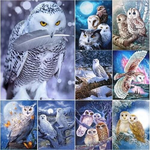 5D Diy Diamond Painting Mosaic Owl Animal Bird Home Decoration Rhinestone Craft Gift Adult Gift Cross Stitch Kit Handmade