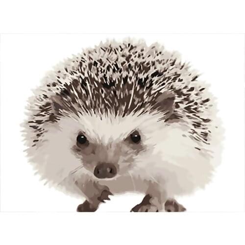 40x50cm Painting By Numbers Kits Animal hedgehog Oil Paints Acrylic Cnavas Home Bedroom Wall Artcraft Picture
