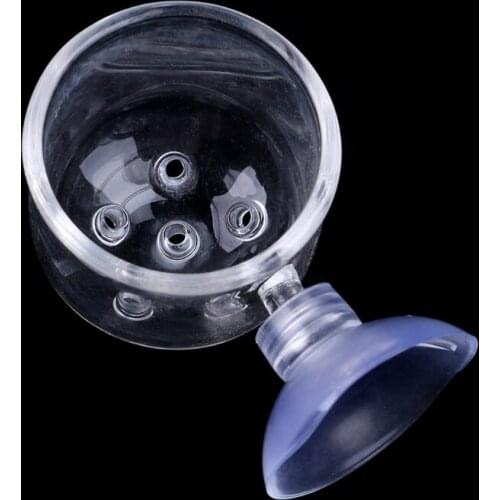 Pinhole Glass Pot Plant Cup Holder Shrimp Aquarium Fish Tank Aquatic Feeder New