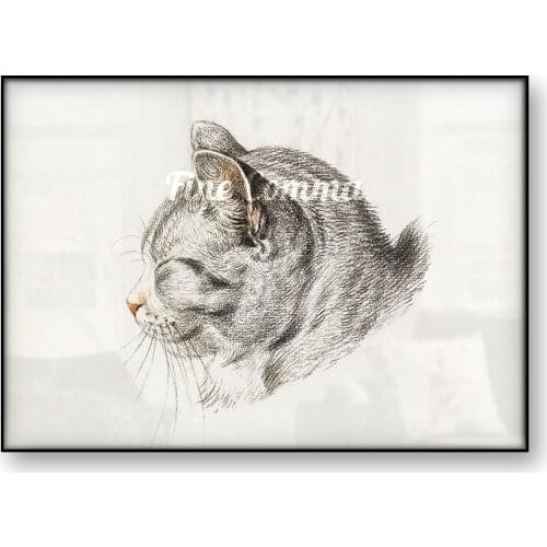 Cat Poster Vintage Animal Sketch Cat Face Illustration Antique Art Wall Decor Canvas Print Painting Room Decoration Picture Home