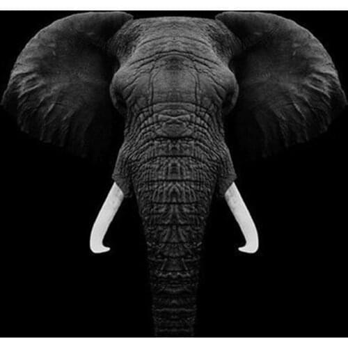 Full Diamond Painting Black Background Animals Embroidery Cross Stitch Mosaic Home Decoration Wall Decor Handmade Diy Gift