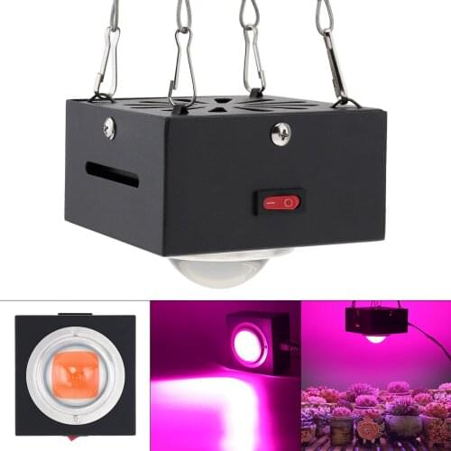300W Waterproof COB LED Grow Light with Shell Full Spectrum Indoor Lamp for Plants Grow Box Tent / Flowers Seedlings Germination