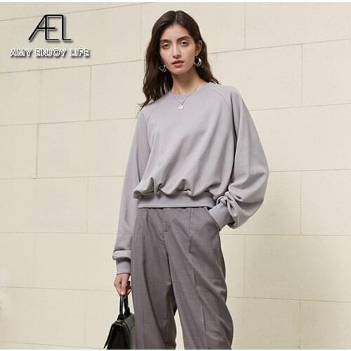 AEL Pullovers Sweatshirt Women Hoodies Basic Round Neck Long Sleeve Cotton Thick Tops Spring Autumn Female Fashion Streetwear