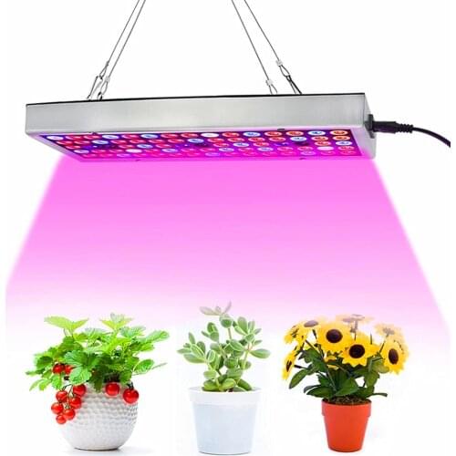 LED Plant Lamps Ableon China