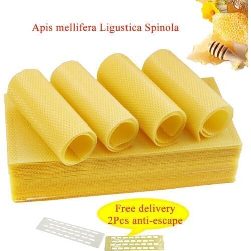 10pcs professional bee wax foundtion apis mellifera ligustica Italian bees beekeeping tools honeycomb food beeswax beehive tool