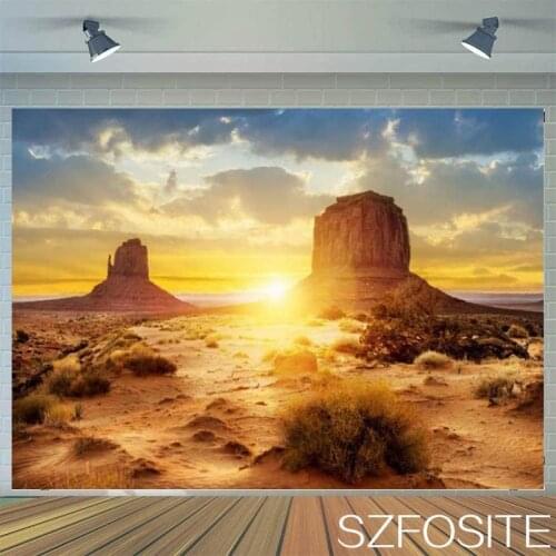 Photography Photo Summer Sunset Desert Beautiful Scenic Theme Backdrop Family Room Wall Decorate Kids Custom Vinyl Background