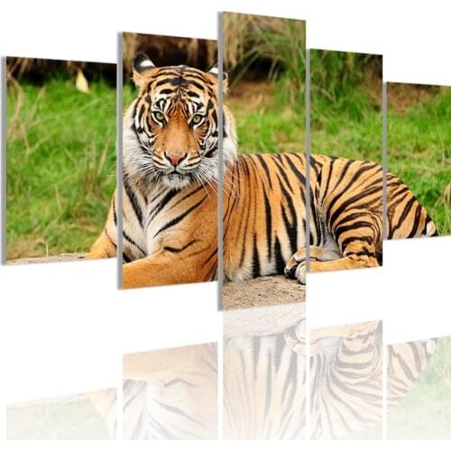 Tiger Sitting Majestic Animal 5 Panels HD Canvas Painting Posters Wall Art Print Picture Living Room Interior Home Decor Frame