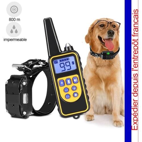Dressage chien acczssoire 800M cloture electrique collier de dressage pour chien petit taille étanche accessori per cani DHL