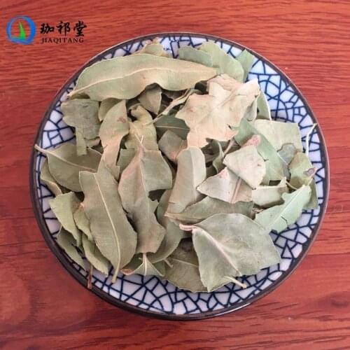 Folium Apocyni Veneti Dogbane Leaf Apocynum Venetum Luo Bu Ma Ye