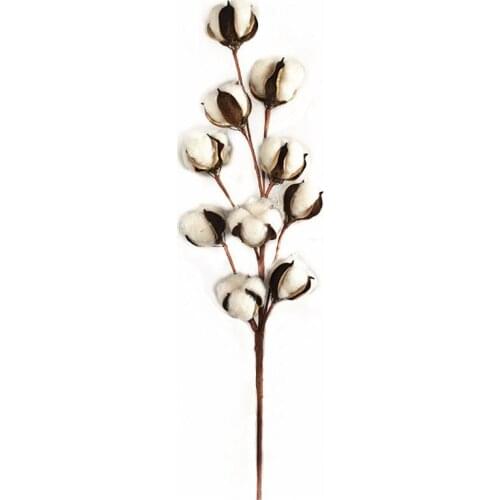 Ten Natural Cotton Dried Cotton Stems Farmhouse Artificial Flower Filler Floral Decor Fake Cotton Flower Home Bedroom Decoration