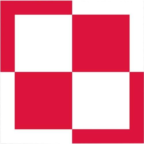 10*10cm Polish Air Force Decal Sticker Poland Car Trunk Window Vinyl