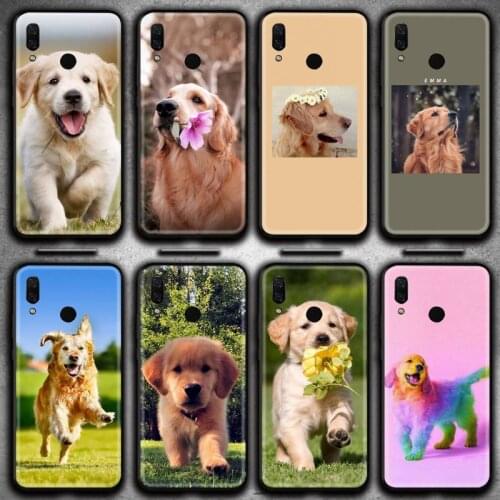 Golden Retriever dog Phone Case Huawei Y6P Y8S Y8P Y5II Y5 Y6 2019 P Smart Prime Pro