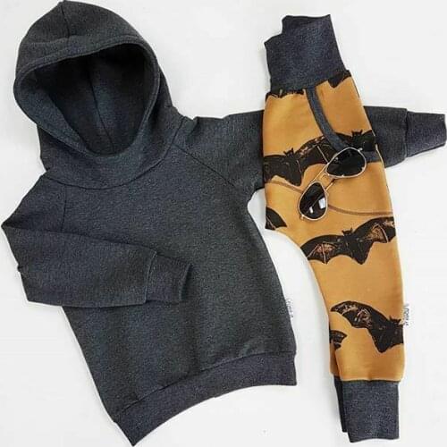 2PCS Newborn Infant Baby Boy Clothes Sets Animal Print Sweatshirt Hooded Top+Long Pants Casual Outfit