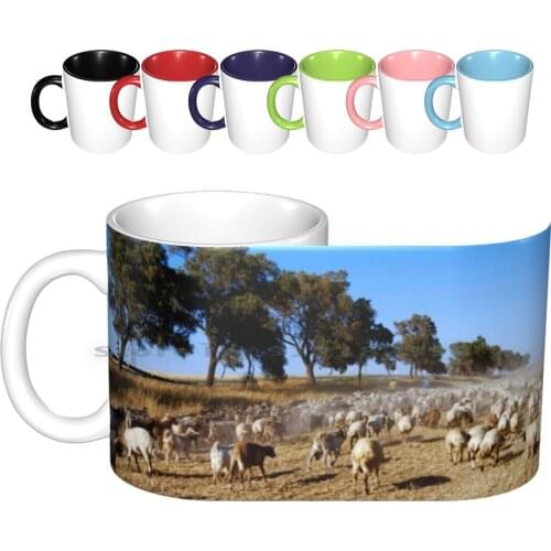 Israel , Negev Desert , Bedouin Shepherd And His Herd Sheep Ceramic Mugs Coffee Cups Milk Tea Mug Psi Israel Negev Desert