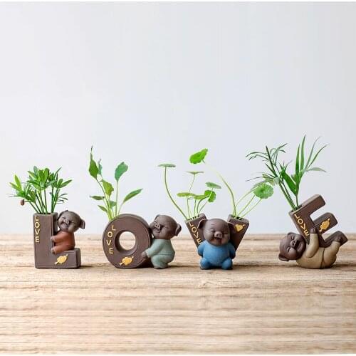 Fu pig creative hydroponic green potted home room easy to raise new flowers small bonsai