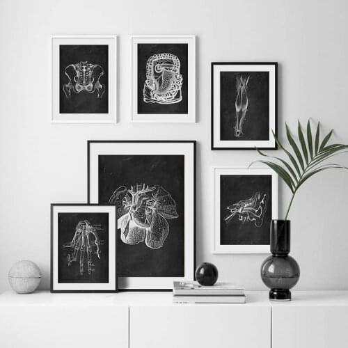 Black And White Human Body Anatomy Canvas Painting Organ Medical Education Modern Print Posters Wall Art Picture For Study Room