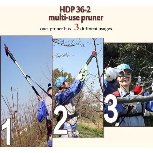 Electric extension pol pruner HDP36-2 CE (EU, US, CA, AU and NZ standard all available)