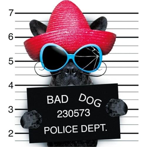 Patches Bad Dog Apparel Accessories Diy Womens Clothing T-shirt Thermal Transfer Paper Iron Ons Sticker for Clothes Patch