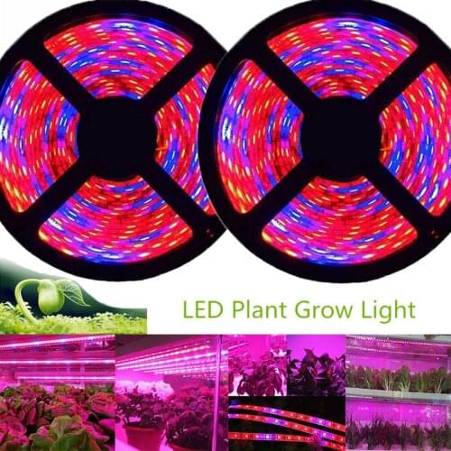 5m Phyto LED Grow Light 12V Full Spectrum LED Growing Diode Tape Lamp 5050 LED Strip Plant Phytolampy IP65 Flexible Aquarium