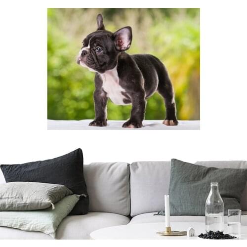 French bulldog Animal,Full Drill diamond embroidery,5d diamond painting,Cross Stitch,3D rhinestone embroidery,puppy Mosaic,Decor