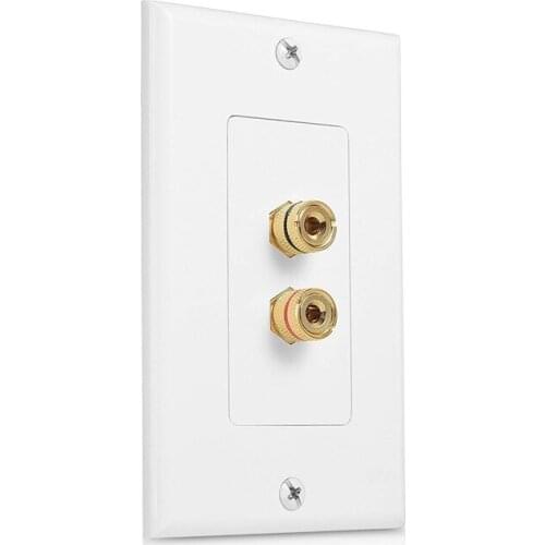 2 Posts Speaker Wall Plate Home Theater Wall Plate Audio Panel for 1 Speakers
