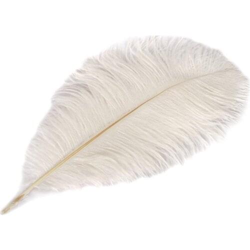 Wholasale White Ostrich Feathers 10pcs-200pcs 15-70cm DIY Wedding Decoration Party Plumes Carnival Dancer feathers for crafts