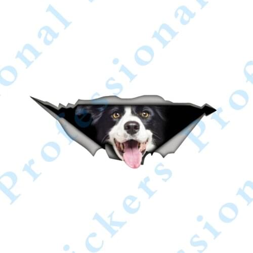 15cm X 6cm Creative Border Collie Pet Dog Car Sticker Accessories Car Styling Cover Scratches Waterproof PVC
