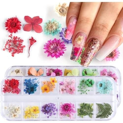 Mix Dried Flowers Nail Decorations Natural Floral Sticker 3D Dry Beauty Nail Art Decals UV Gel Polish Manicure Accessories